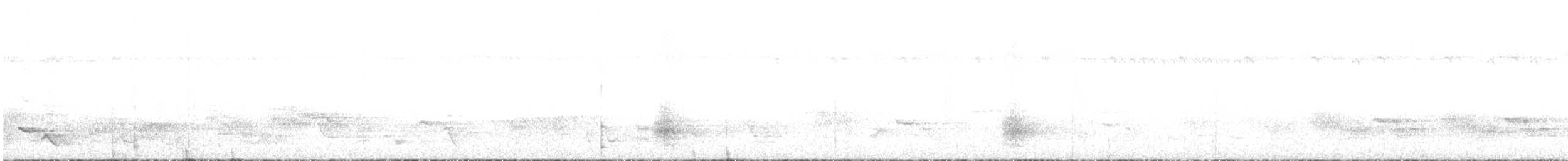 holub běločapkový - ML586213041