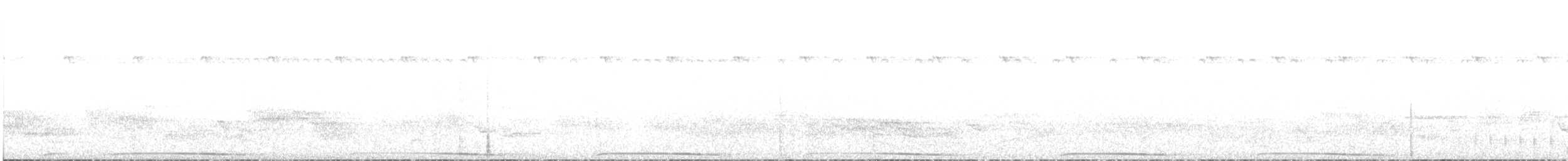 holub běločapkový - ML586213051