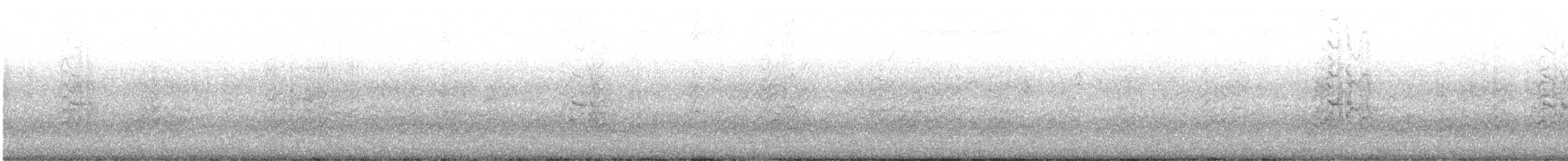烏領燕鷗 - ML586215141