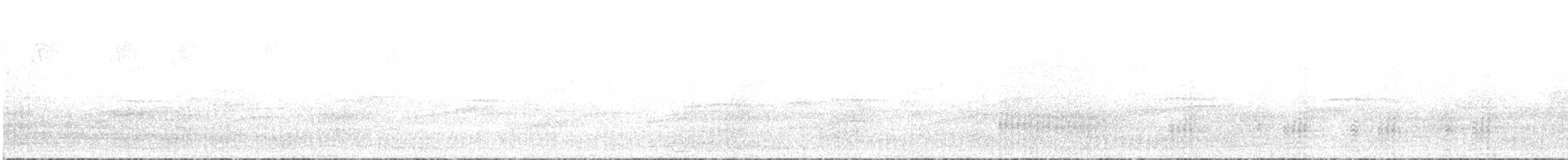黑玄燕鷗 - ML586215571