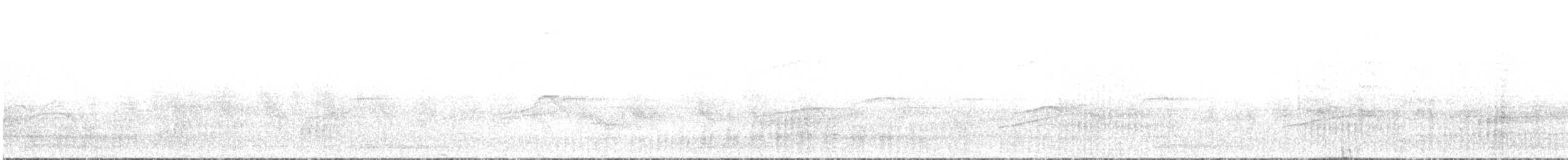 nody bělotemenný - ML586215591