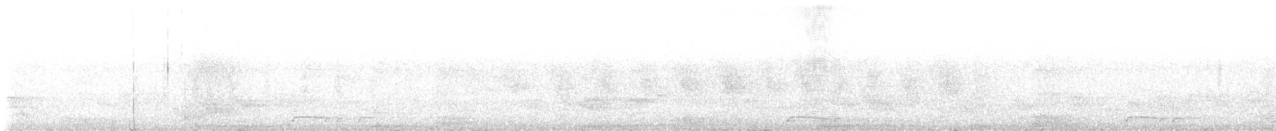 Markiz Adaları Has Güvercini - ML586219121