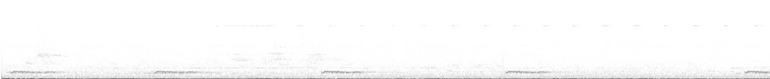 holoubek vlnkovaný - ML586221081