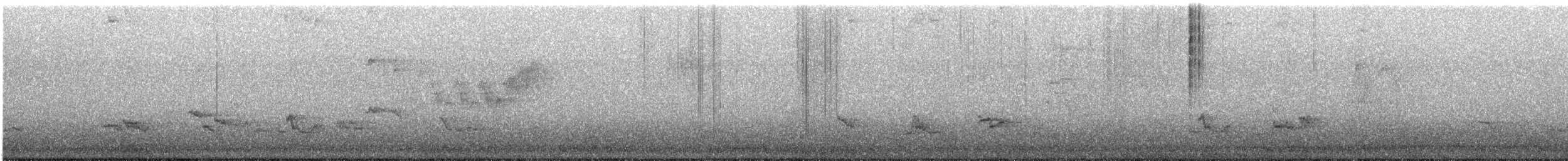 Cerulean Warbler - ML586225221