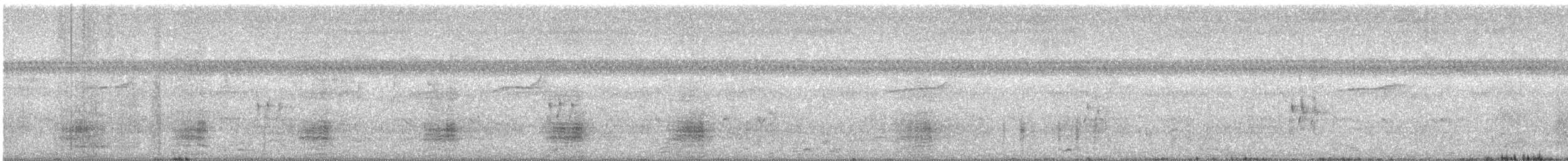 ברווז עקוד-מקור הודי - ML586233251