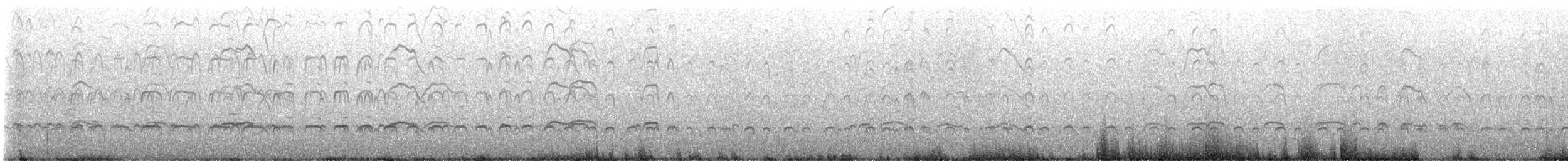 Black Oystercatcher - ML586234341