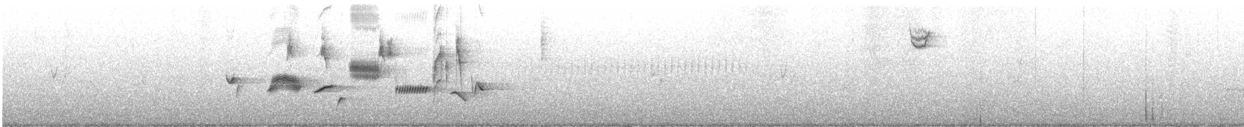Пестрогрудая овсянка [группа schistacea] - ML586235081