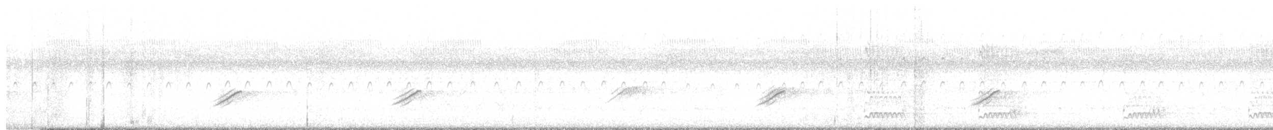Haarspecht [villosus-Gruppe] - ML586245571