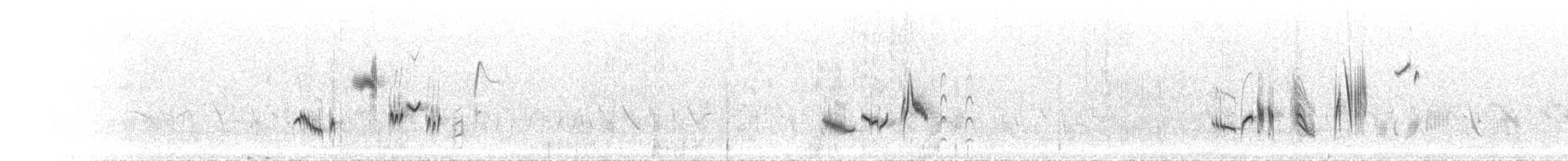 hekkskvett (galactotes gr.) - ML586271421