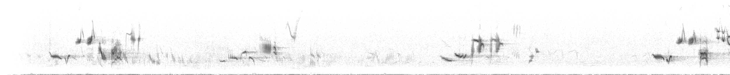 hekkskvett (galactotes gr.) - ML586271521
