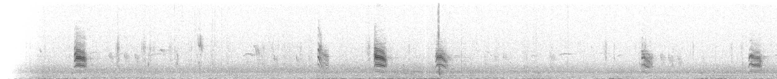 Red-tailed Shrike - ML586272721
