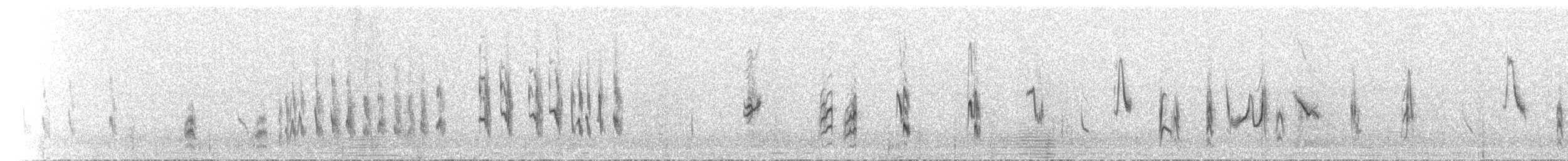Red-tailed Shrike - ML586272801