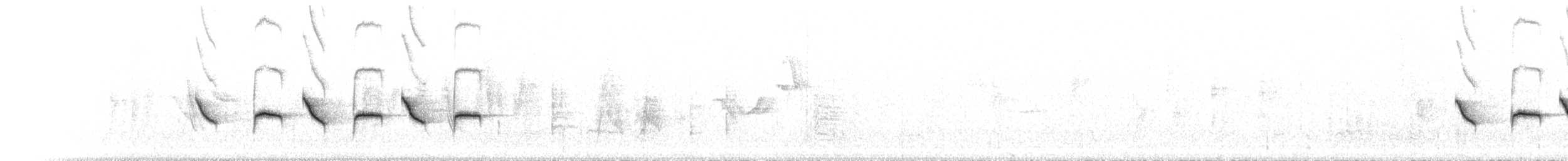 sýkora koňadra [skupina bokharensis] - ML586273881