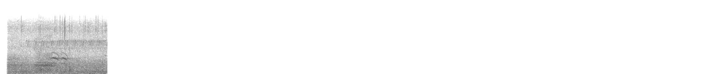 Weißbrustkleiber - ML586280111