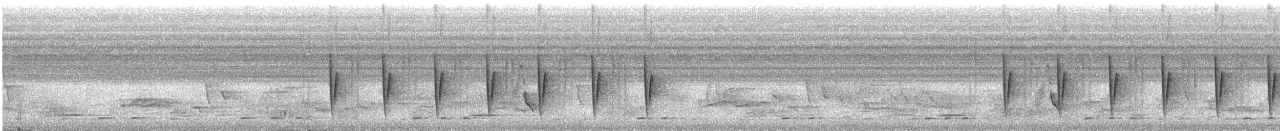 Camaroptère à tête grise (groupe brachyura) - ML586282501