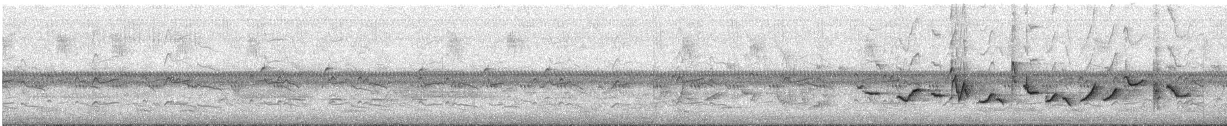Oriole des vergers - ML586288461