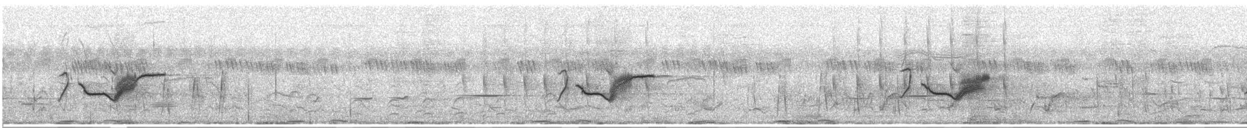 クロヒタキ - ML586322991