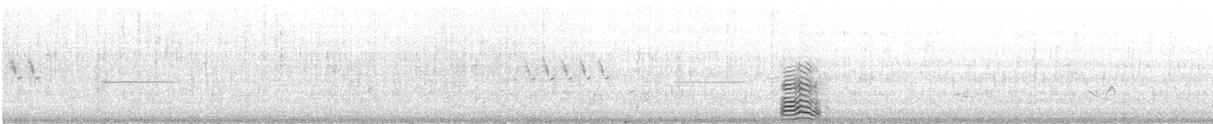 ニシセグロカモメ（intermedius） - ML586324511