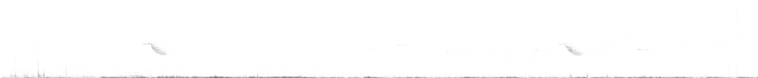 Пестрогорлый соловьиный дрозд - ML586339241