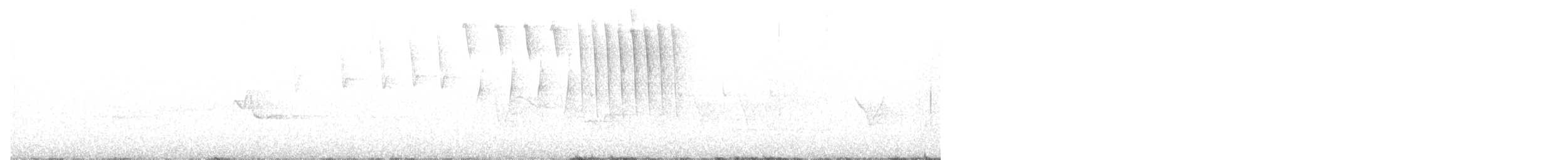 Tennessee Warbler - ML586366001