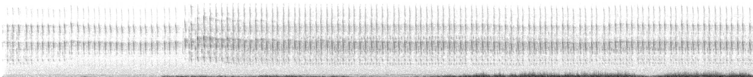 Black-backed Woodpecker - ML586404691
