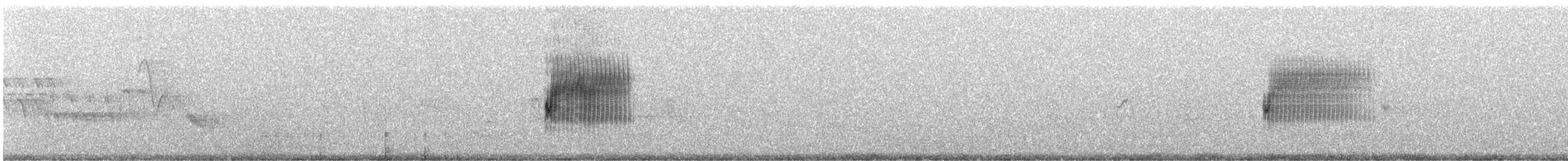 Тауї плямистий - ML586412101
