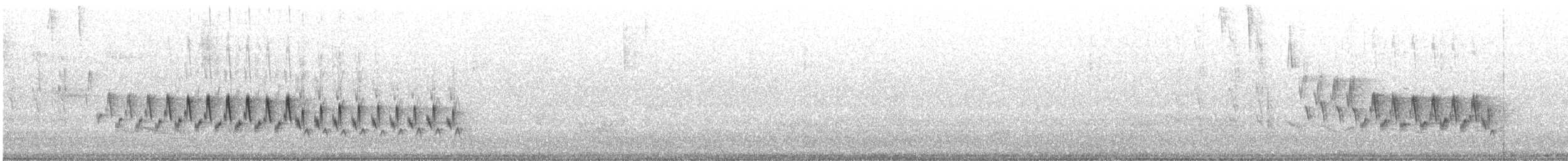 Northern House Wren - ML586414691