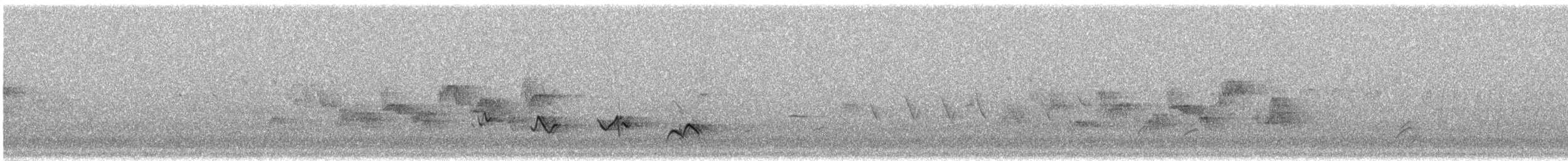 American Robin - ML586415751