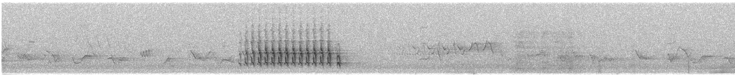 American Robin - ML586415761