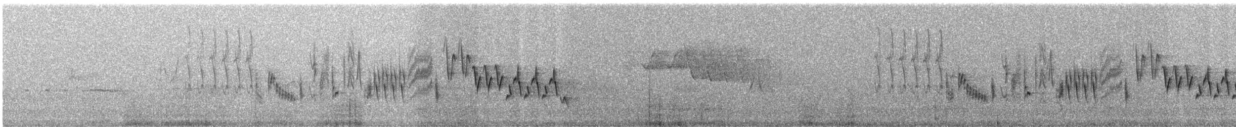 Northern House Wren - ML586415881