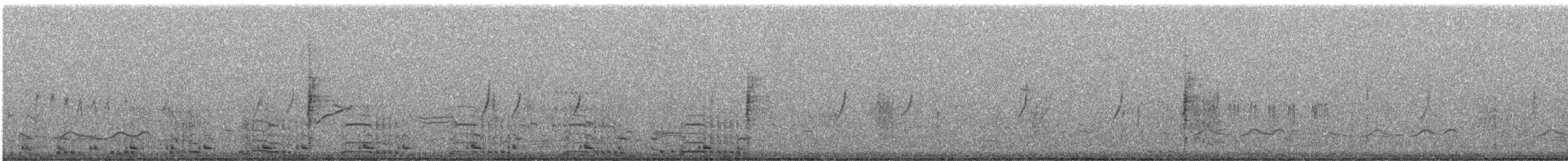 Sandhill Crane - ML586418891