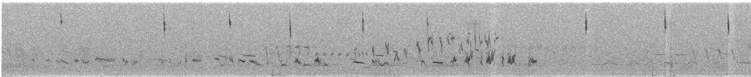 Sage Thrasher - ML586419341