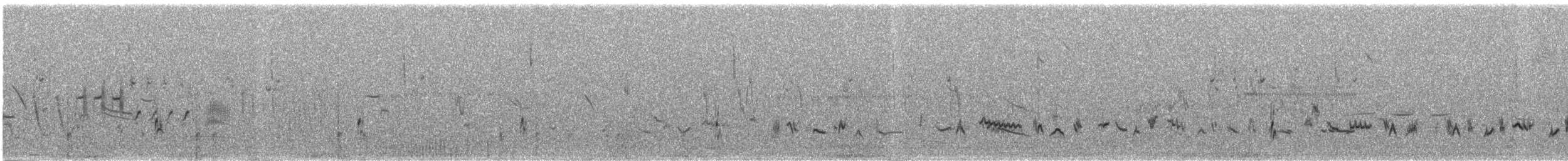 Sage Thrasher - ML586419401