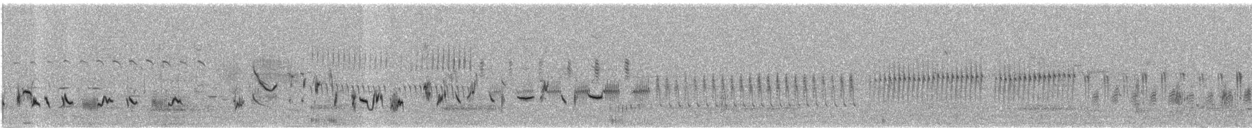 Sage Thrasher - ML586419441