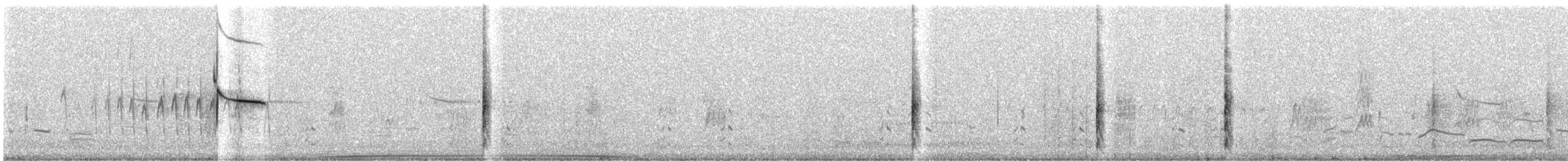 Red-winged Blackbird - ML586419881