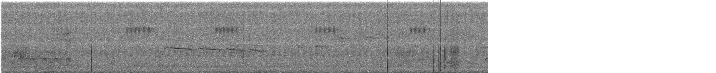 Northern Beardless-Tyrannulet - ML586427701