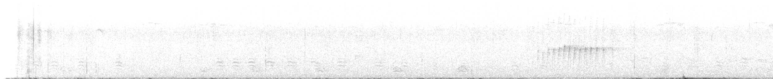 Weißbrustkleiber - ML586429301