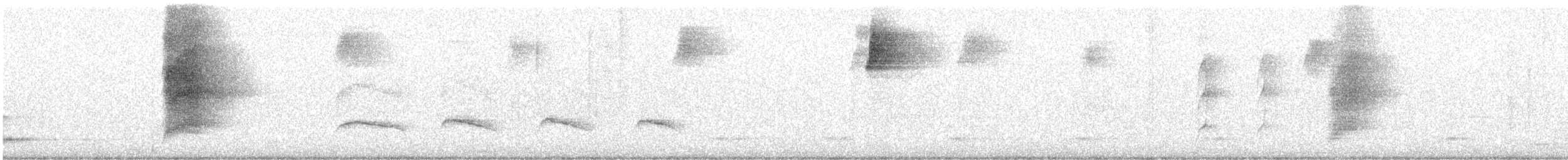 Тиран-крихітка сіроголовий - ML586431091