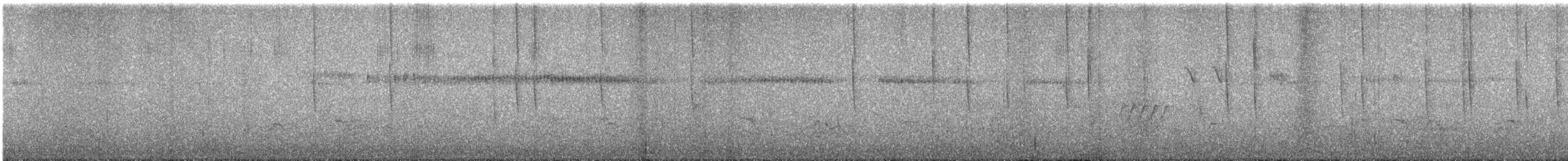 Broad-tailed Hummingbird - ML586448791