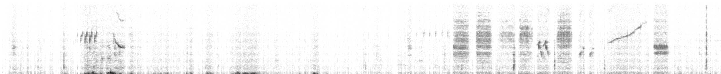 גיבתונית לבנת-גבה - ML586460981