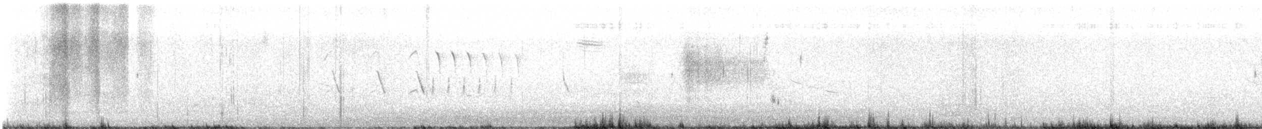 Канадская овсянка-барсучок (subvirgata) - ML586467251