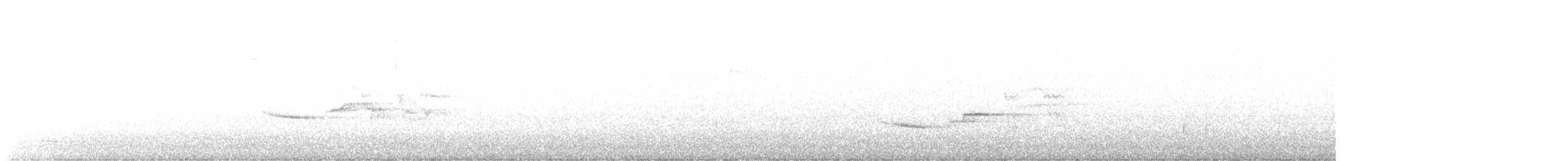 Дрізд-короткодзьоб плямистоволий - ML586474821