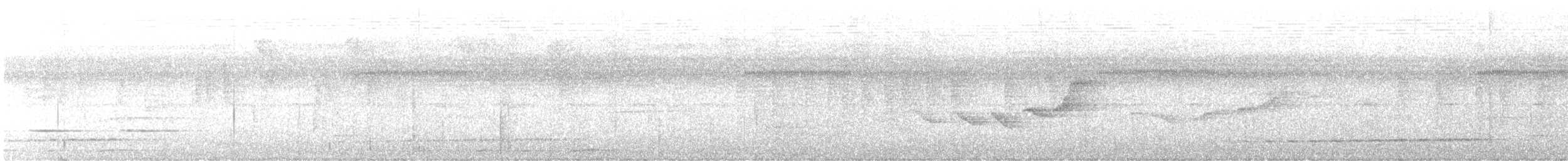 Grallaire buissonnière - ML586502011