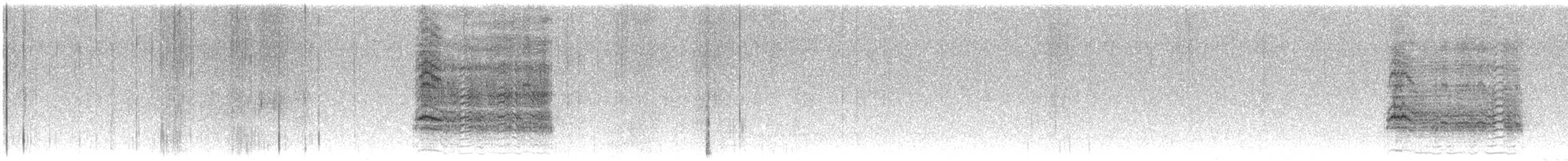 Rotschwanzbussard (calurus/alascensis) - ML586518871