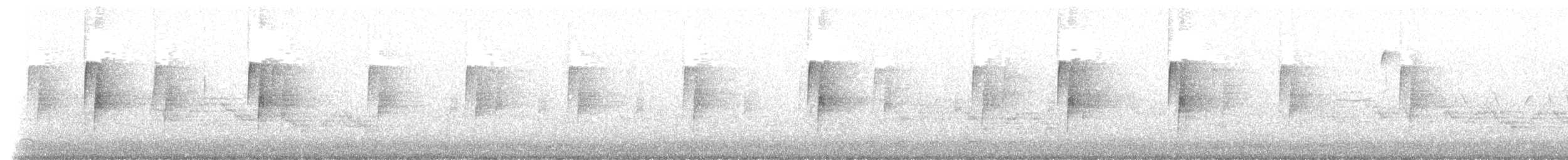 חטפית זעירה - ML586520541