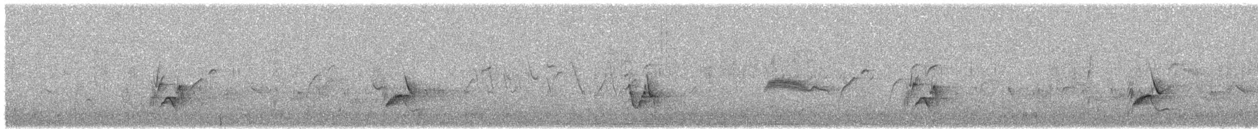 Plumbeous Vireo - ML586535111
