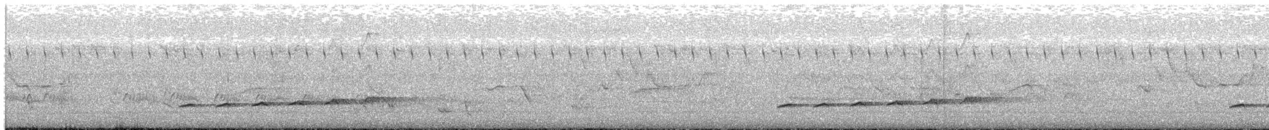 Вилохвостая дронговая кукушка - ML586537001