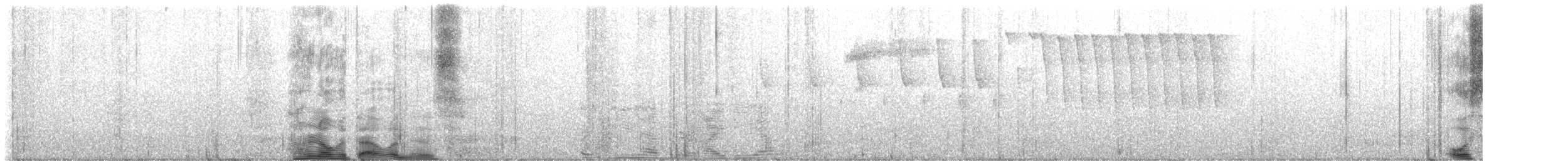 Tennessee Warbler - ML586539401