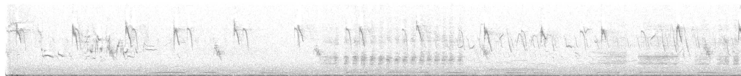 Cisticole des joncs - ML586556241