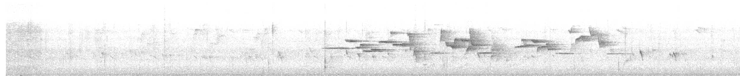 White-browed Bush-Robin - ML586562901